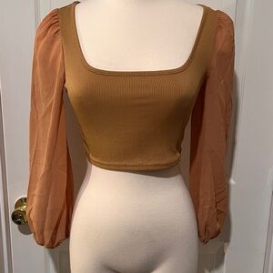 Elegant Tan Square Neck Top